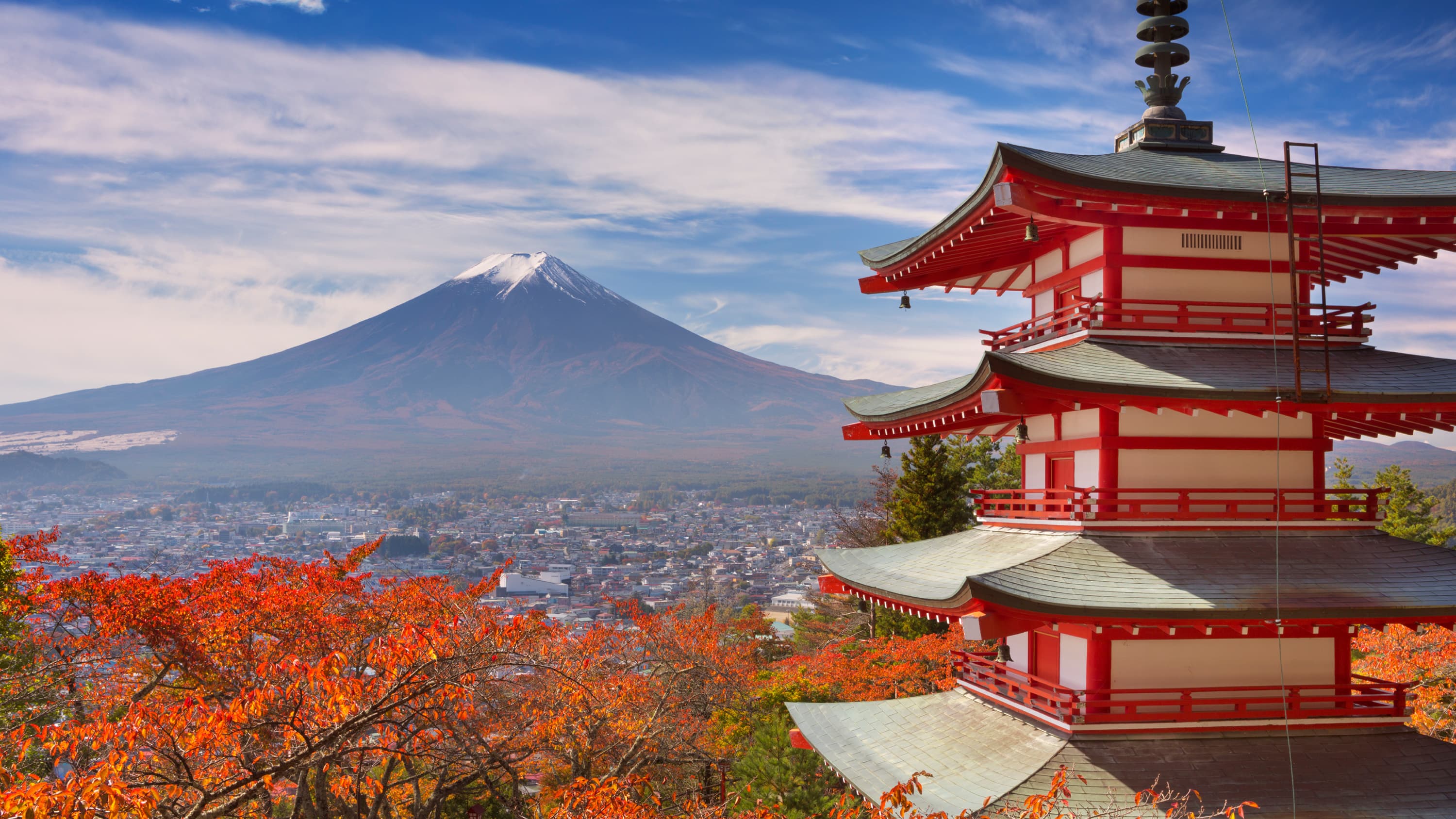 Japan Tour (5days)